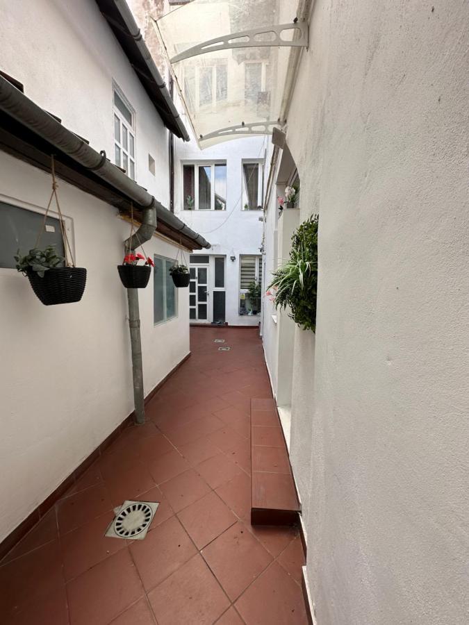 Villa Brasov Place Extérieur photo