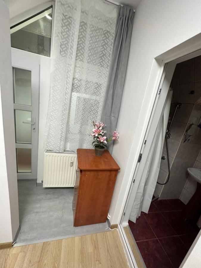 Villa Brasov Place Extérieur photo