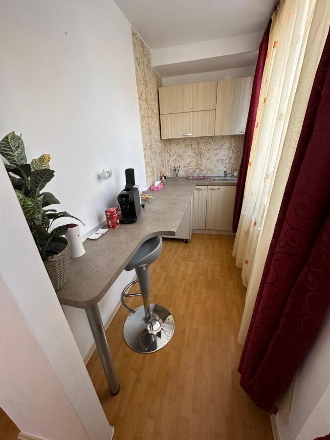 Villa Brasov Place Extérieur photo