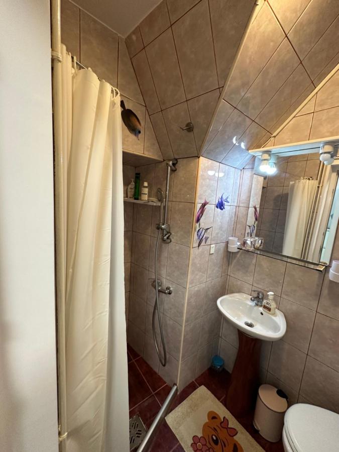 Villa Brasov Place Extérieur photo